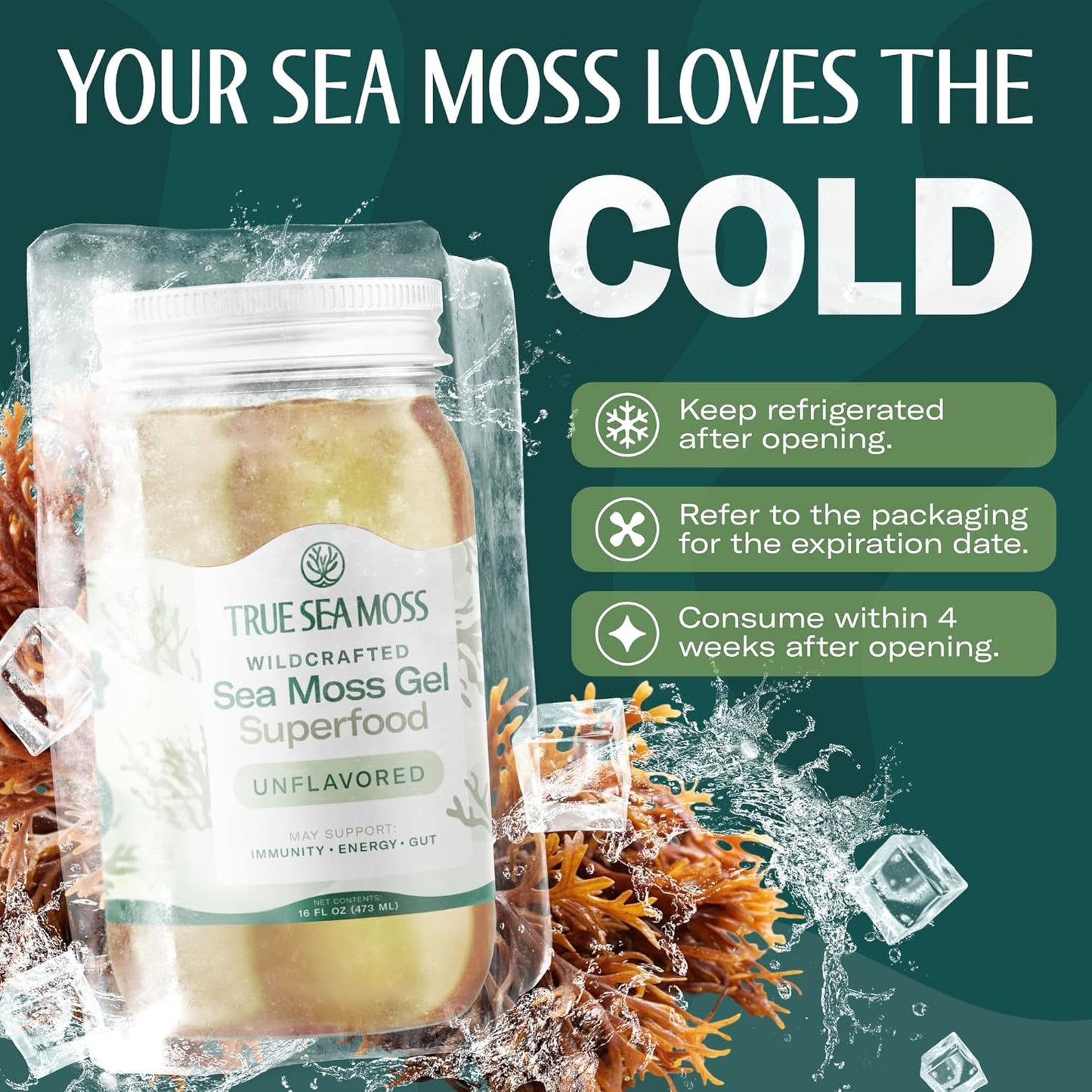 TrueSeaMoss Sea Moss Gel – Made in USA – Wildcrafted Seamoss, Fresh Fruits & Sea Vegetables – Apple/Cinnamon, Pack of 1 (Labels may Vary)