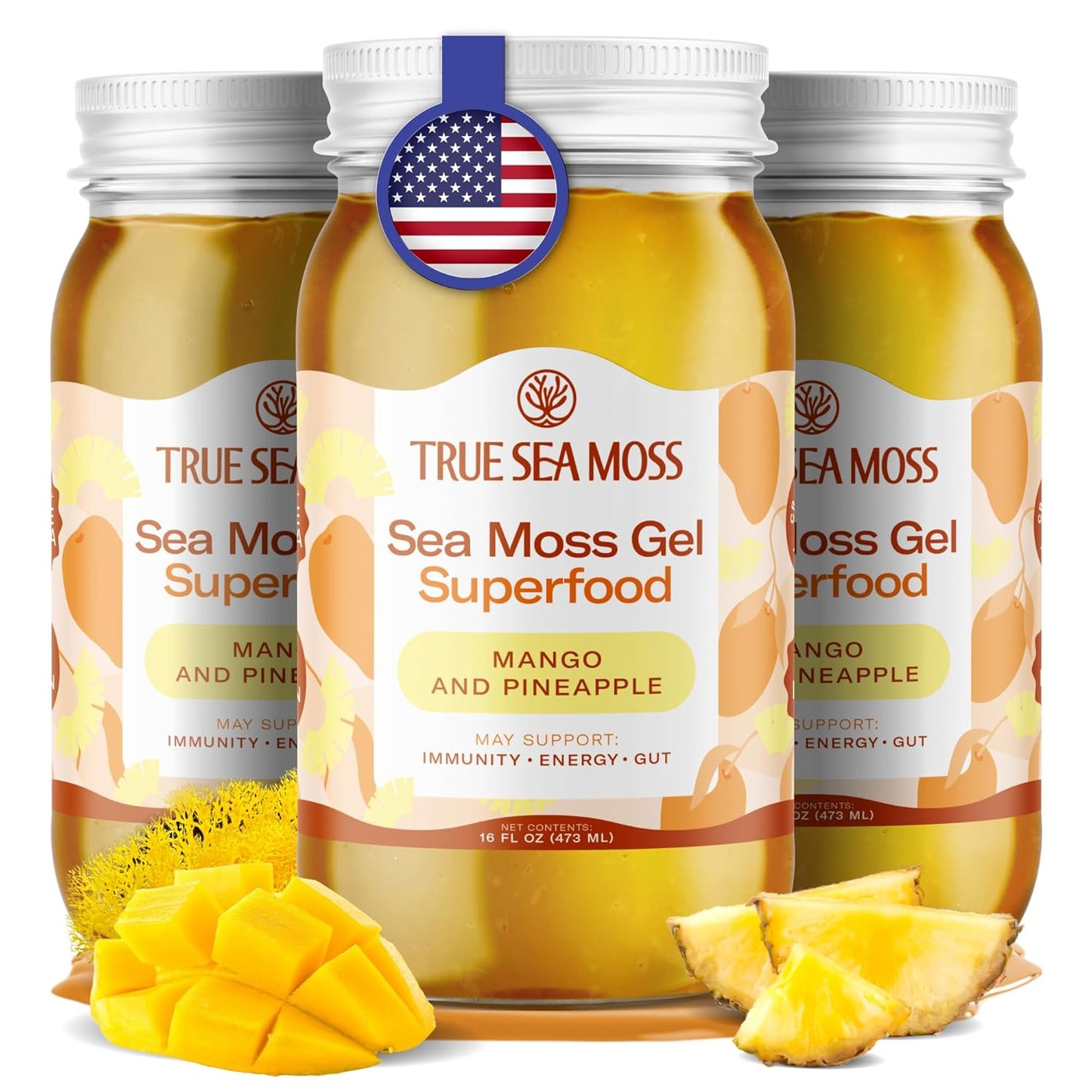 TrueSeaMoss Sea Moss Gel – Made in USA – Wildcrafted Seamoss, Fresh Fruits & Sea Vegetables – Apple/Cinnamon, Pack of 1 (Labels may Vary)