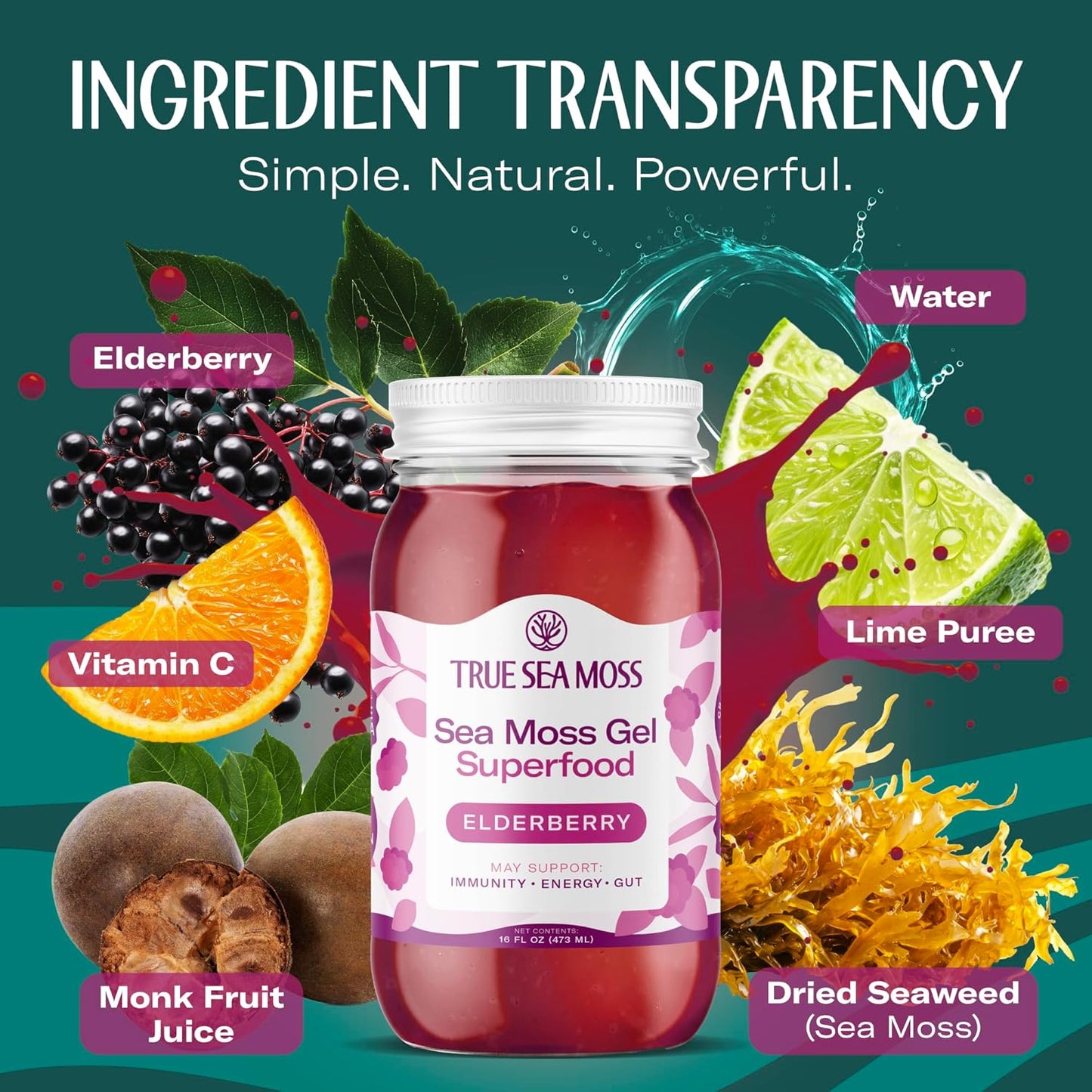 TrueSeaMoss Sea Moss Gel – Made in USA – Wildcrafted Seamoss, Fresh Fruits & Sea Vegetables – Apple/Cinnamon, Pack of 1 (Labels may Vary)