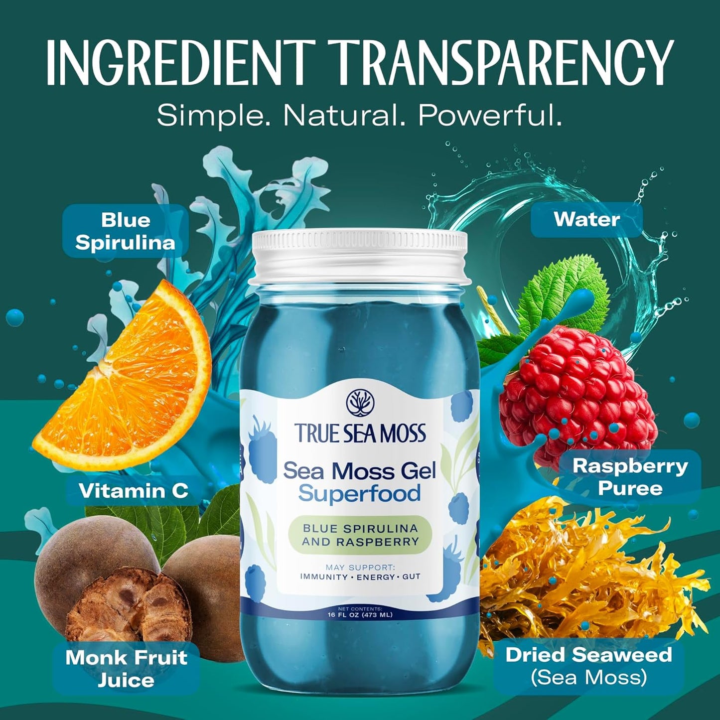 TrueSeaMoss Sea Moss Gel – Made in USA – Wildcrafted Seamoss, Fresh Fruits & Sea Vegetables – Apple/Cinnamon, Pack of 1 (Labels may Vary)