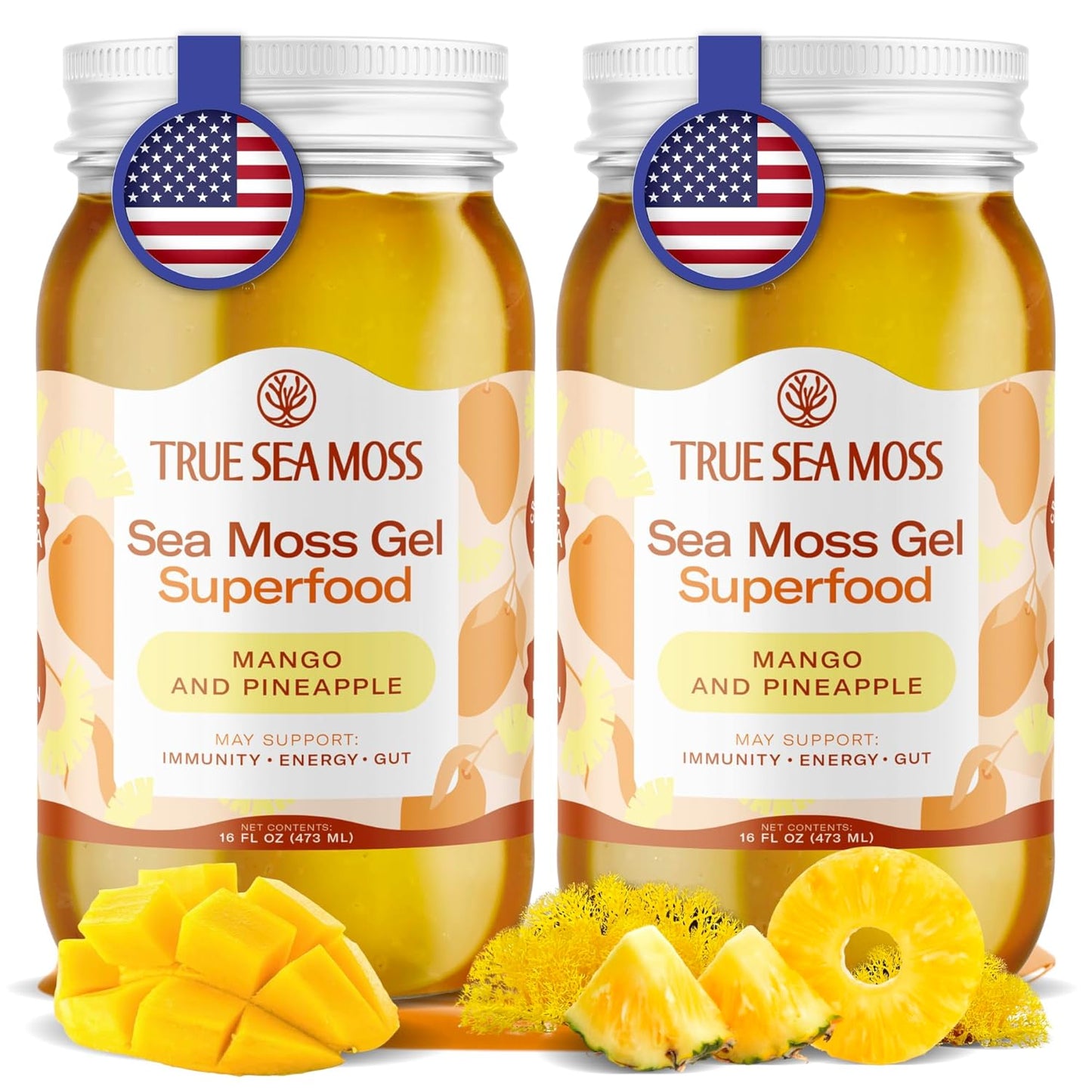 TrueSeaMoss Sea Moss Gel – Made in USA – Wildcrafted Seamoss, Fresh Fruits & Sea Vegetables – Apple/Cinnamon, Pack of 1 (Labels may Vary)