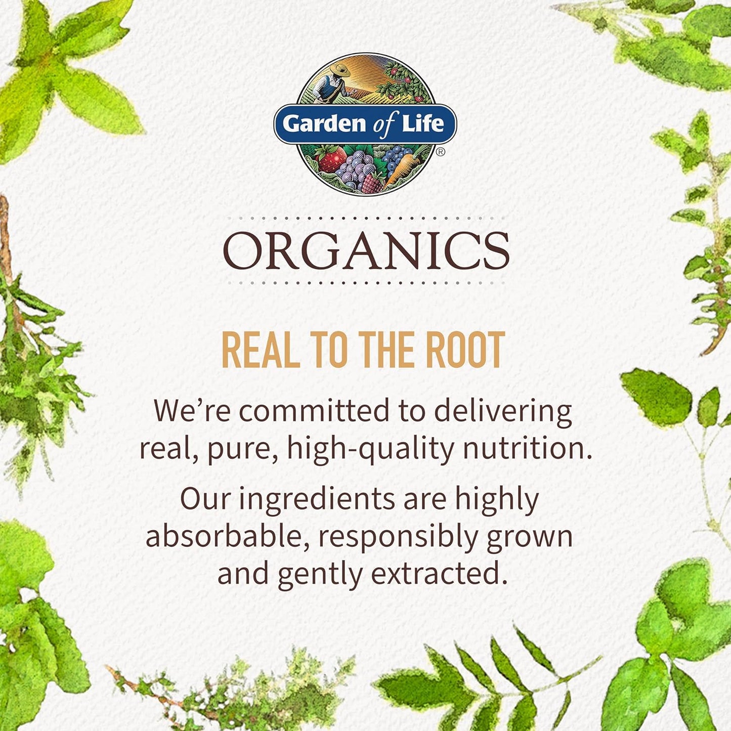 Garden of Life Organics Sleep Well Rest & Refresh 30 Tablets, Lemon Balm, Green Tea Extract L-Theanine, Valerian Root, Chamomile, Probiotics-Organic Non-GMO Vegan Gluten Free Herbal Supplement