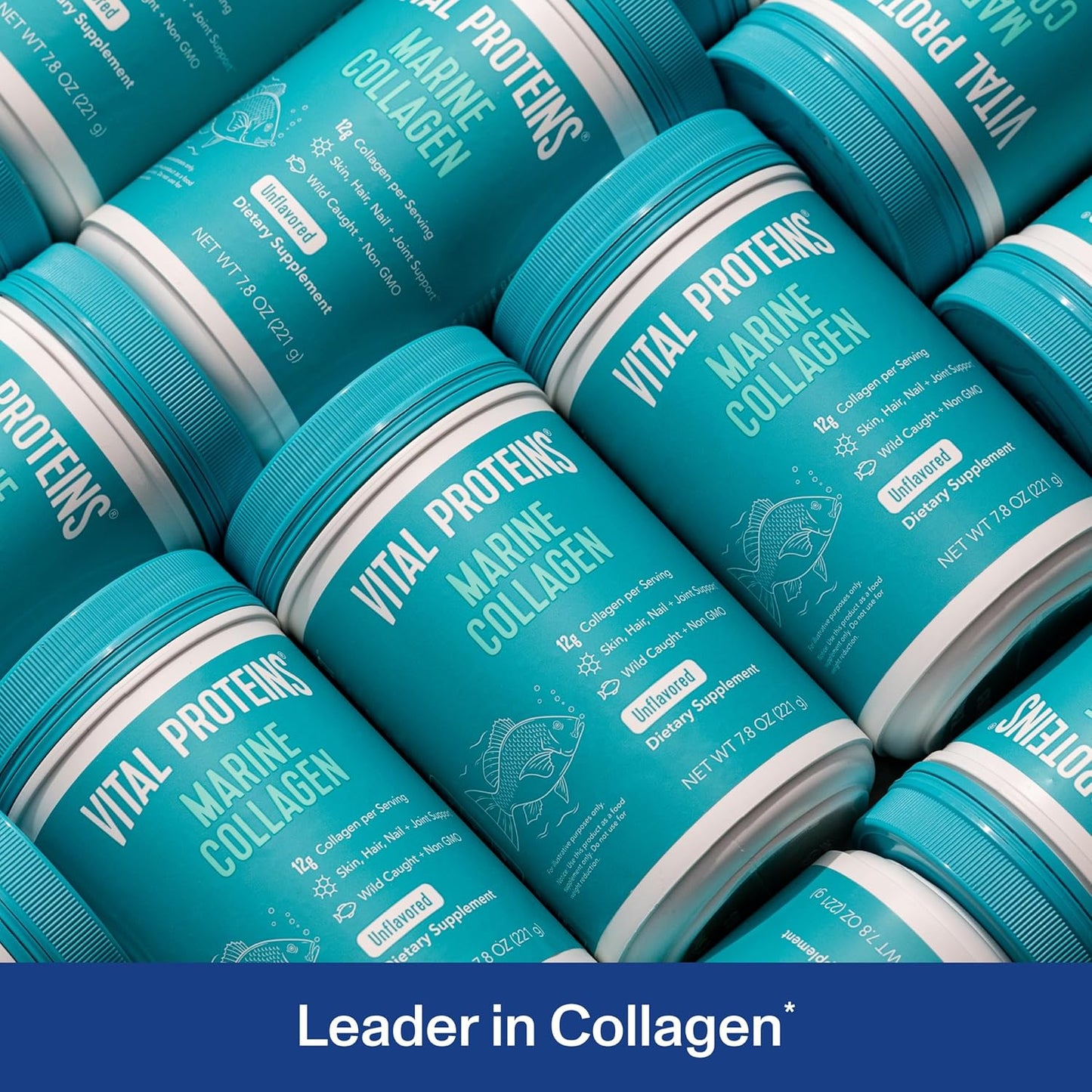 Vital Proteins Marine Collagen Peptides Powder Supplement for Skin Hair Nail Joint - Hydrolyzed Collagen - 12g per Serving - 7.8 oz Canister