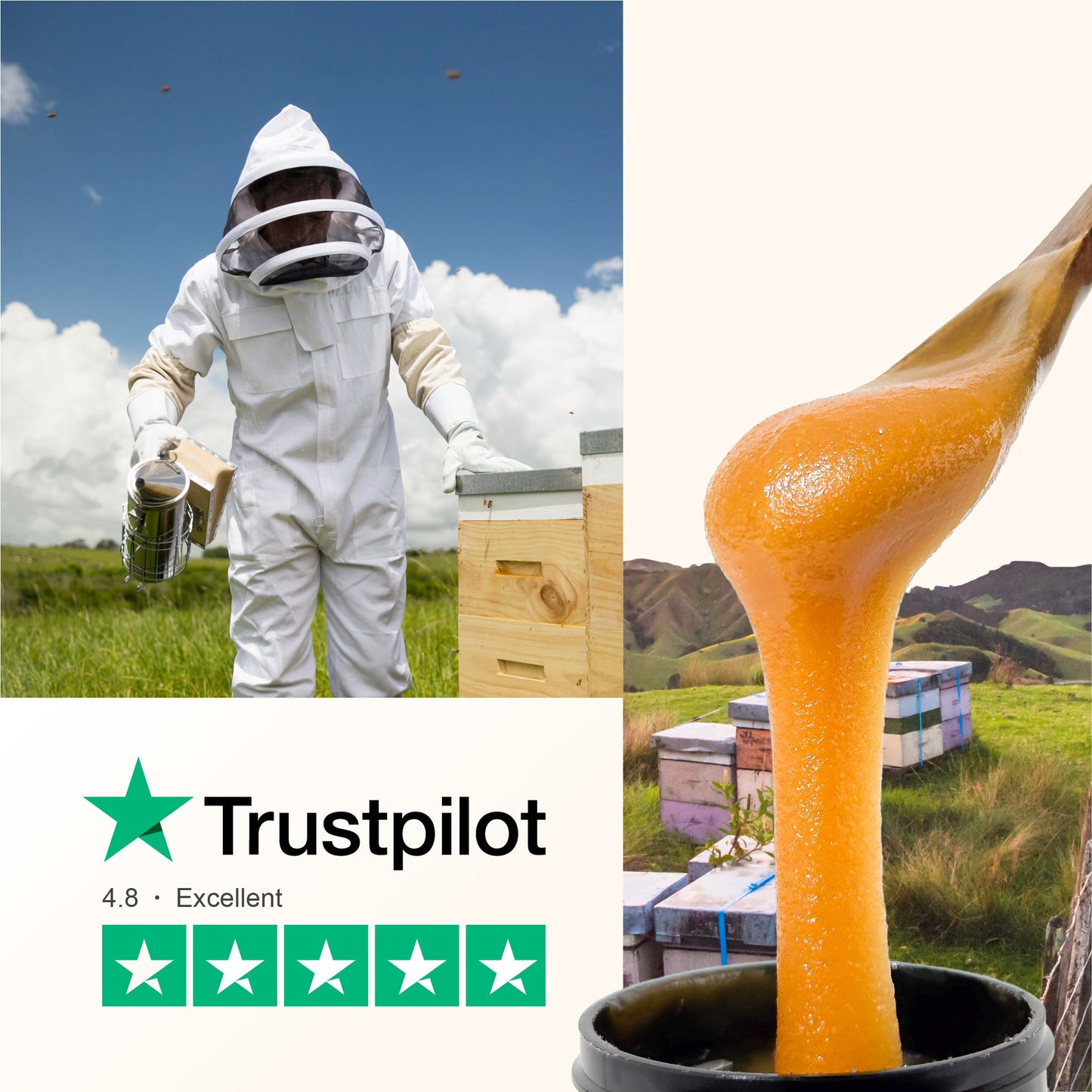 70 MGO Manuka Honey 250g