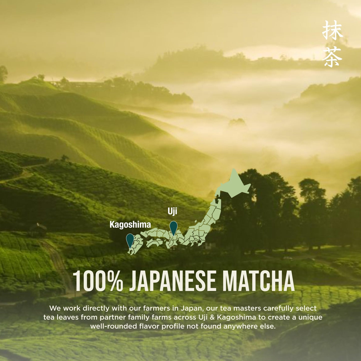 Jade Leaf Matcha Organic Hojicha Powder – Barista Edition, Authentic Japanese Roasted Matcha