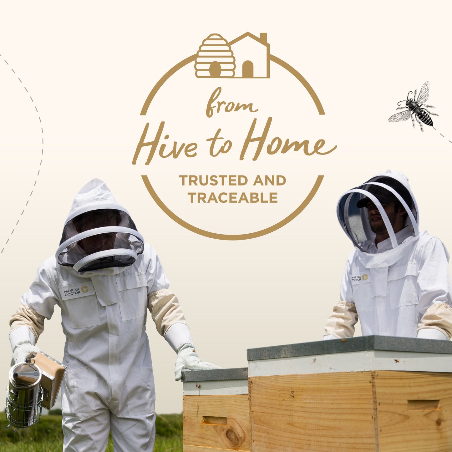 240 MGO Manuka Honey 500g - Monofloral