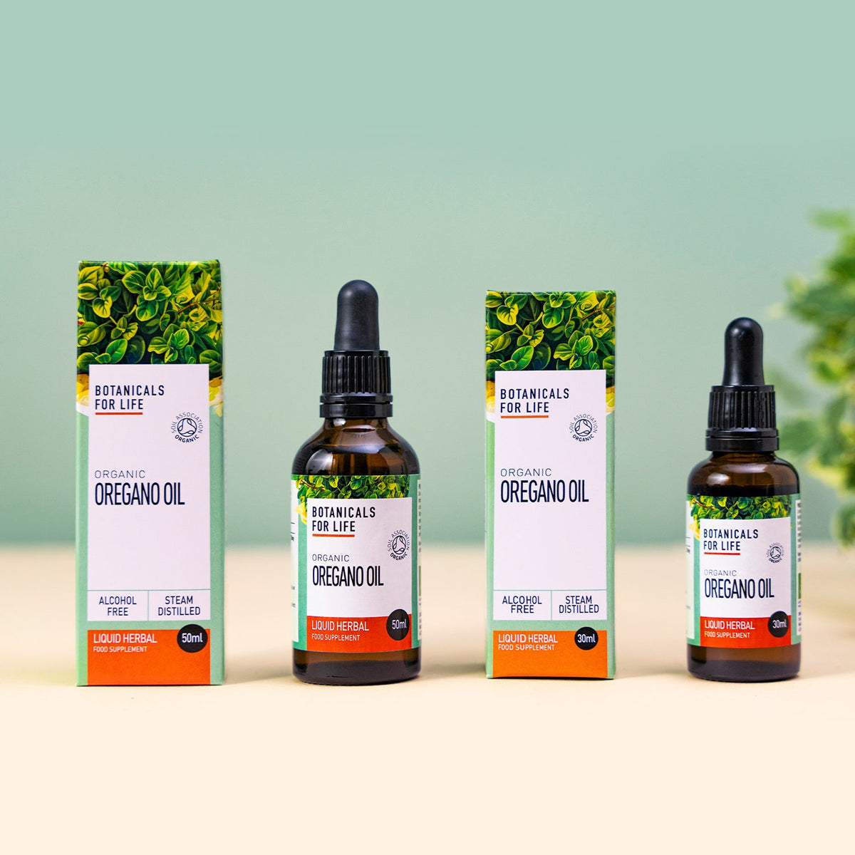 Organic Oregano Oil