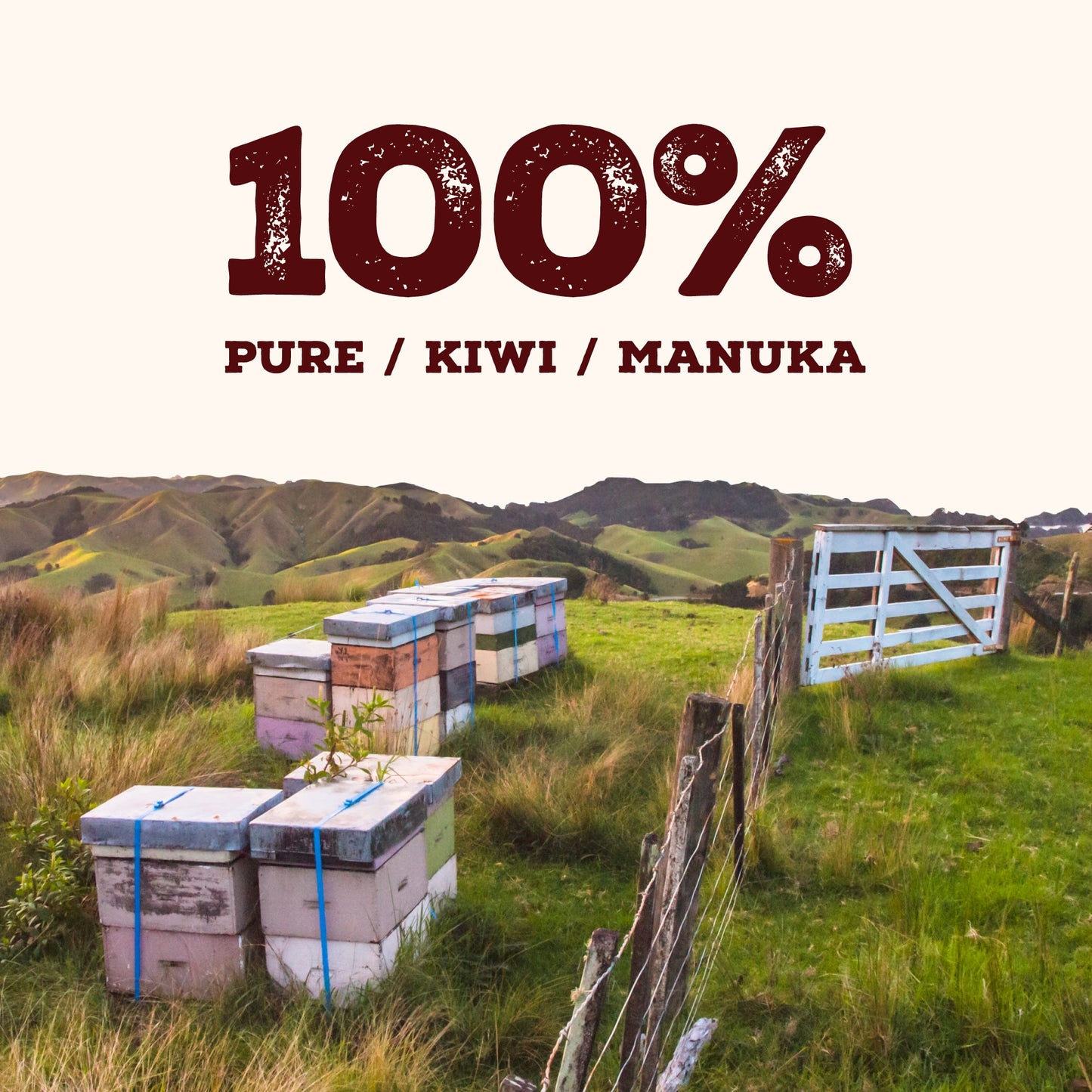 70 MGO Manuka Honey 250g
