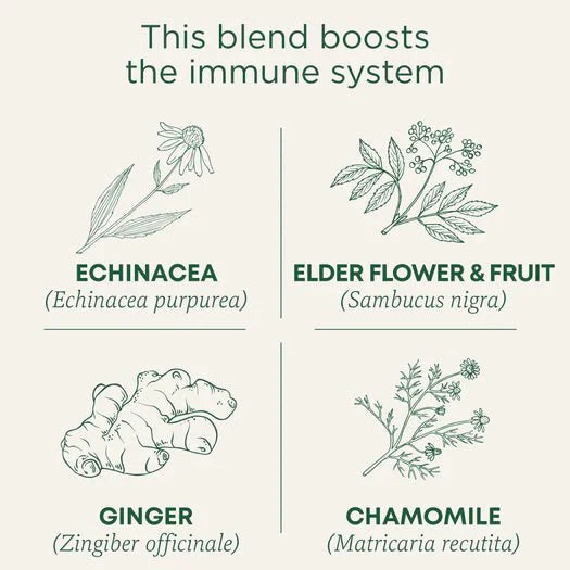 Traditional Medicinals - Organic Echinacea Plus® Elderberry Tea, 16s