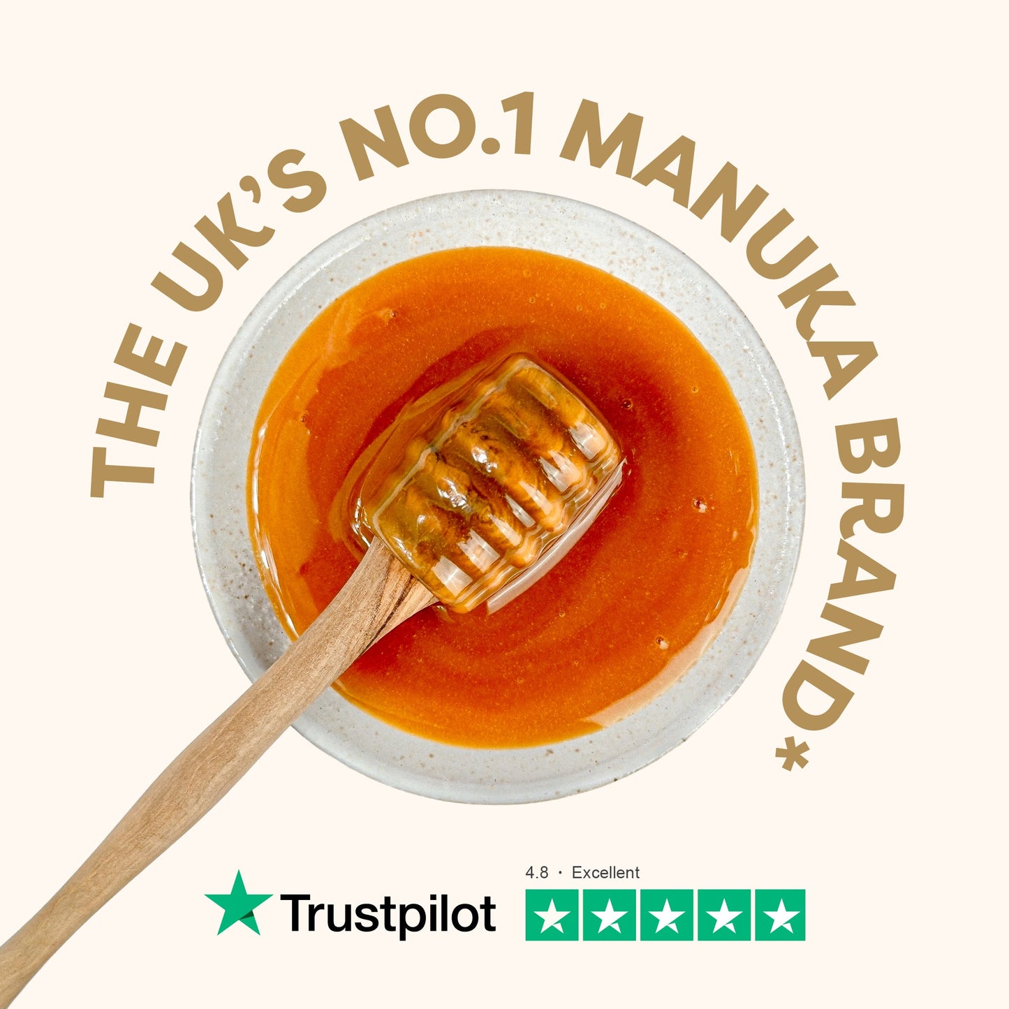 240 MGO Manuka Honey 500g - Monofloral