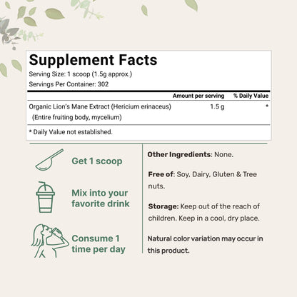 Micro Ingredients Organic Lions Mane Mushroom Supplement Powder 1lb