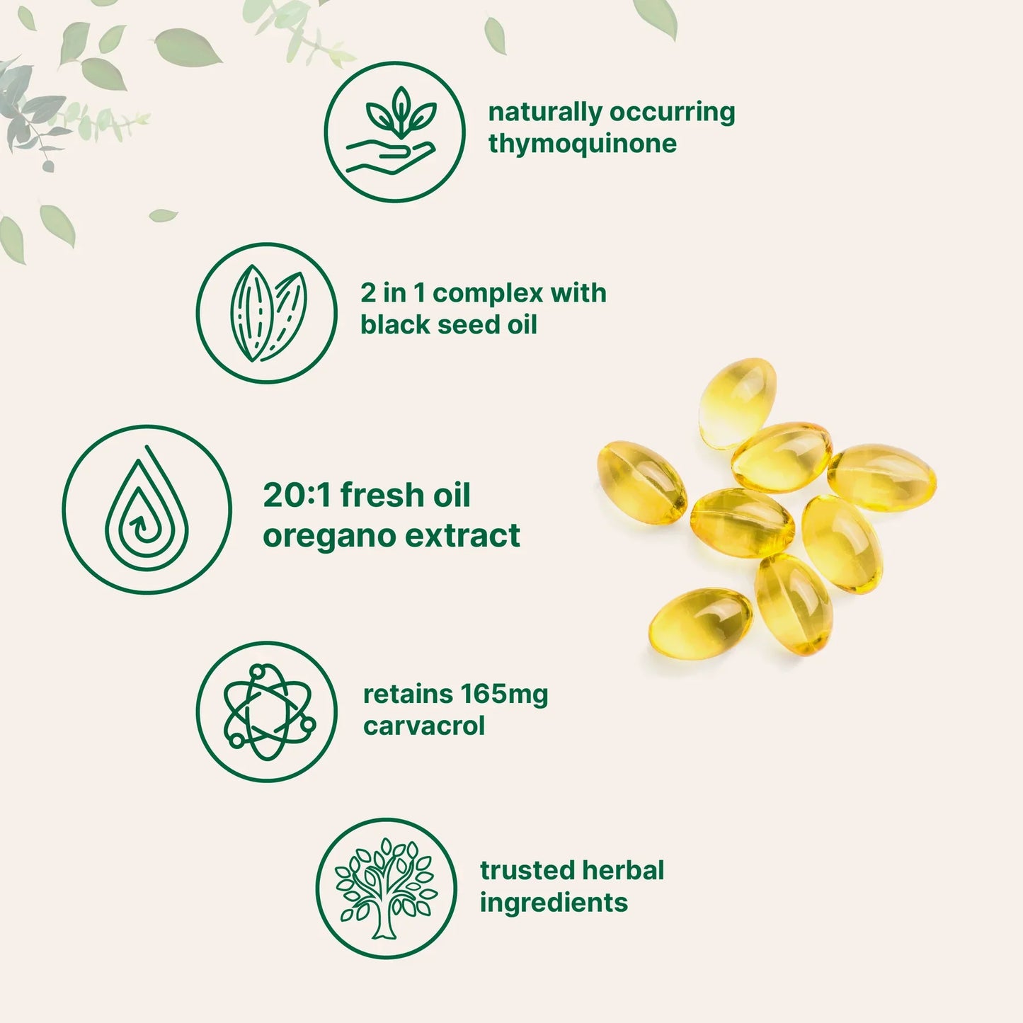 Premium Oil of Oregano for Immune Support & Wellness (300 Softgels)
