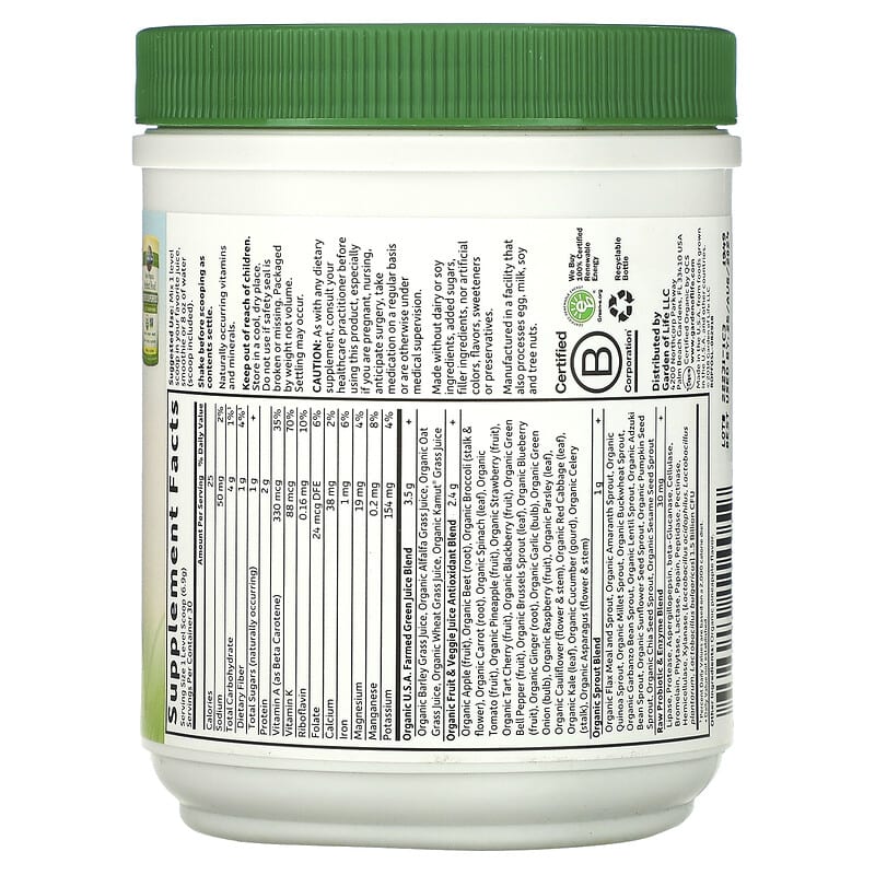 Garden of Life RAW Organic Perfect Food Green Superfood Original