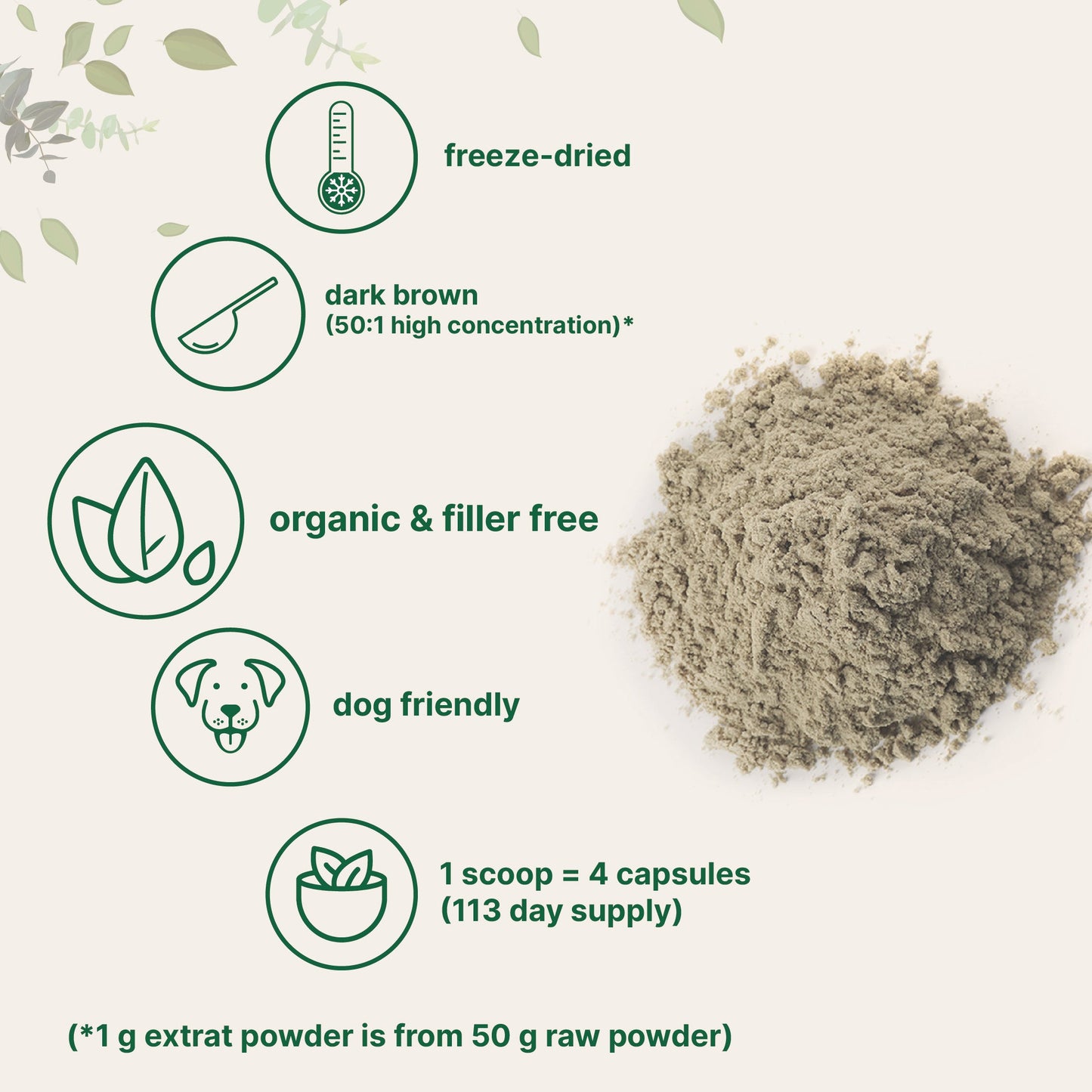 Micro Ingredients Organic Turkey Tail Powder, 8oz