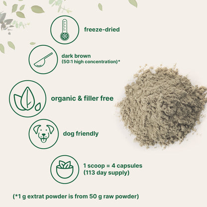 Micro Ingredients Organic Turkey Tail Powder, 8oz