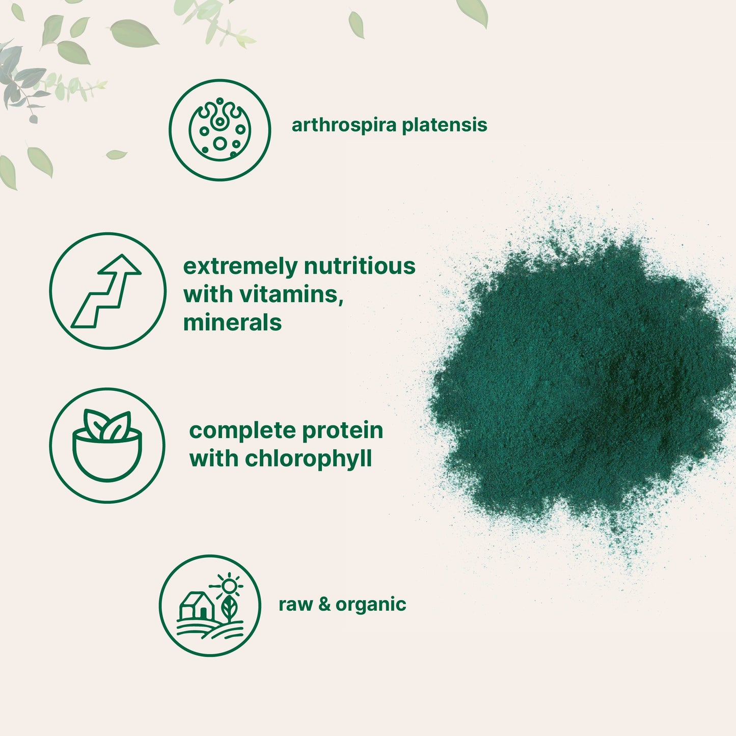 Micro Ingredients Organic Spirulina Powder 1 Pound
