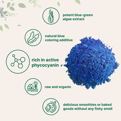 Micro Ingredients Organic Blue Spirulina Powder (Phycocyanin Extract), 60 Servings - No Fishy Smell, 100% Vegan Protein from Blue-Green Algae