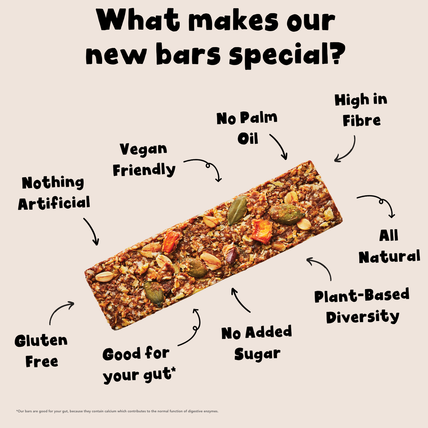 COCOA HAZELNUT FLAPJACK OAT BAR 38g