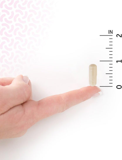 Garden of Life Probiotics Mood+ Dr Formulated Acidophilus Probiotic Supplement - Promotes Emotional Well-Being, Relaxation and Digestive Balance - Ashwagandha for Stress Management, 60 Veggie Caps