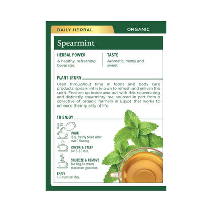 Traditional Medicinals Organic Spearmint Herbal Tea, Healthy & Refreshing, (Pack of 1) - 16 Tea Bags