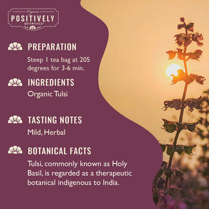 Organic Positively Botanicals Company, Anise Seed Herbal Tea Bags, 20 Count