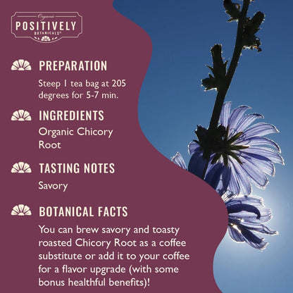 Organic Positively Botanicals Company, Anise Seed Herbal Tea Bags, 20 Count