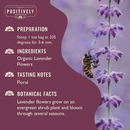 Organic Positively Botanicals Company, Anise Seed Herbal Tea Bags, 20 Count