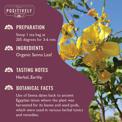 Organic Positively Botanicals Company, Anise Seed Herbal Tea Bags, 20 Count