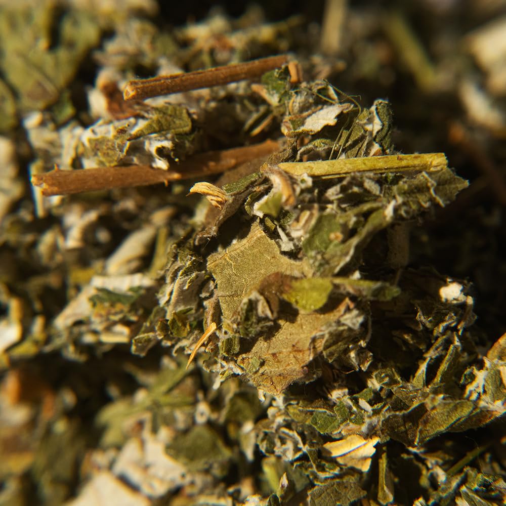 Organic Positively Botanicals Company, Anise Seed Herbal Tea Bags, 20 Count