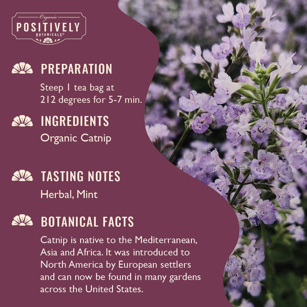 Organic Positively Botanicals Company, Anise Seed Herbal Tea Bags, 20 Count