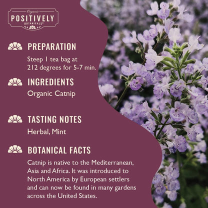 Organic Positively Botanicals Company, Anise Seed Herbal Tea Bags, 20 Count