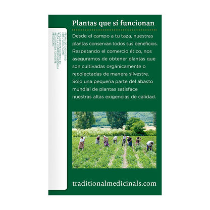 Traditional Medicinals Organic Spearmint herbal tea, Fair Trade Certified, 16 ct