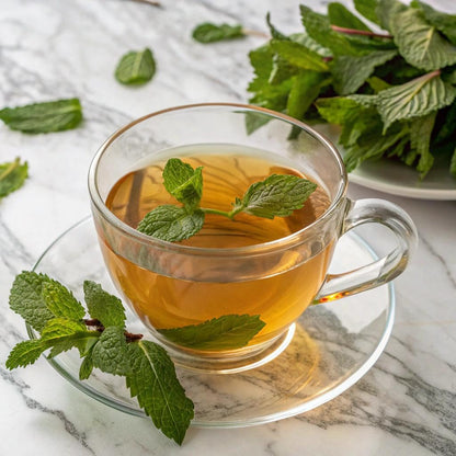 Organic Spearmint Leaf Tea Bags | 20 Count Tea Bags | Eco-Conscious Tea Bags in Foil Lined Kraft Pouch | Raw from USA | by FGO