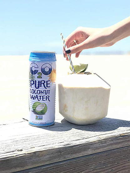 C2O Pure Coconut Water with Mango | Plant Based | Non-GMO | No Added Sugar | Essential Electrolytes | 17.5 FL OZ