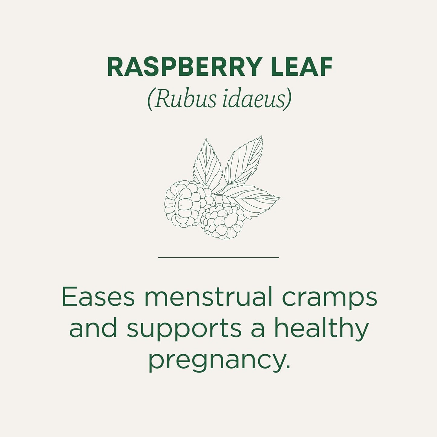 Traditional Medicinals Tea, Organic Healthy Cycle, Supports Healthy Menstrual Cycles, Includes Spearmint,16 Tea Bags
