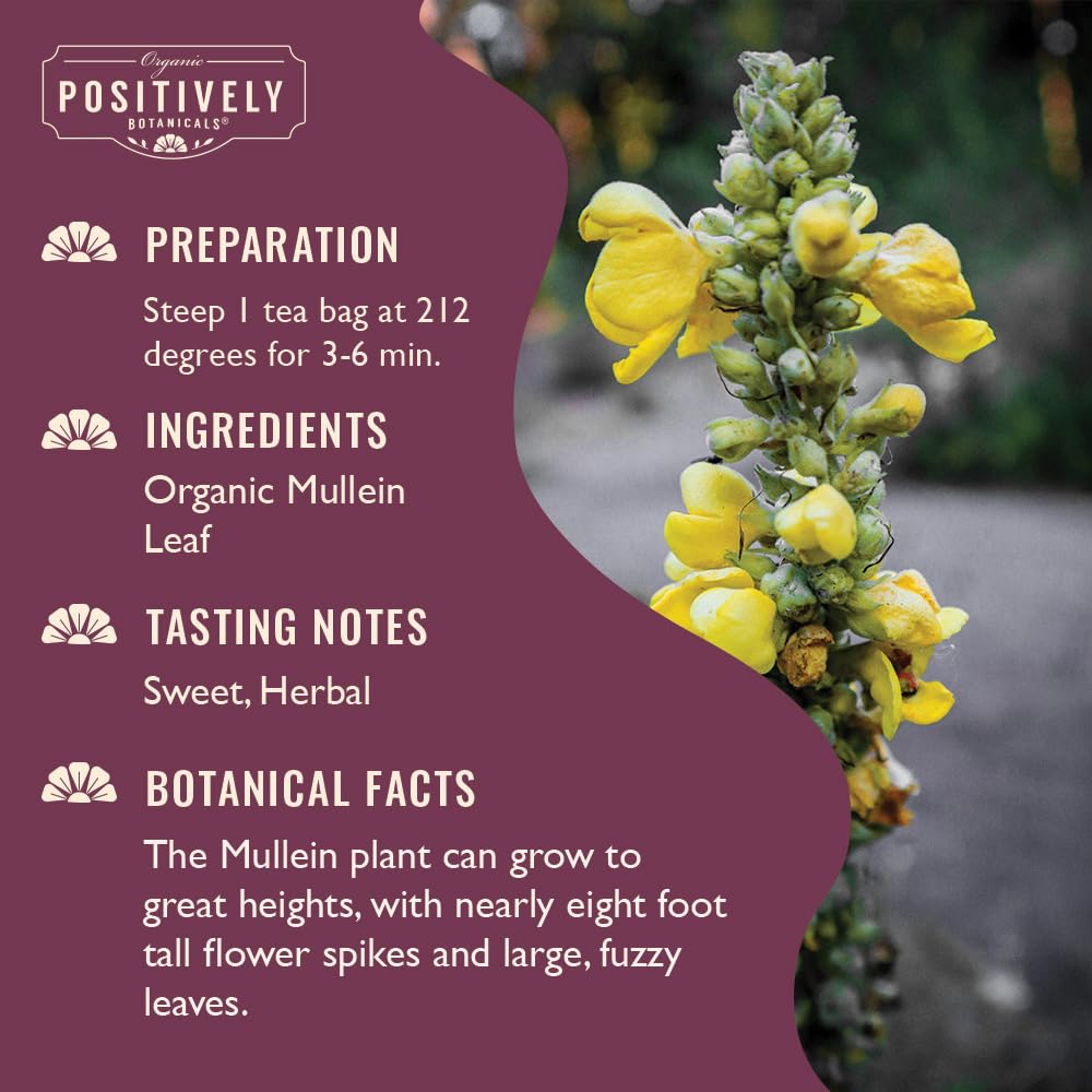 Organic Positively Botanicals Company, Anise Seed Herbal Tea Bags, 20 Count