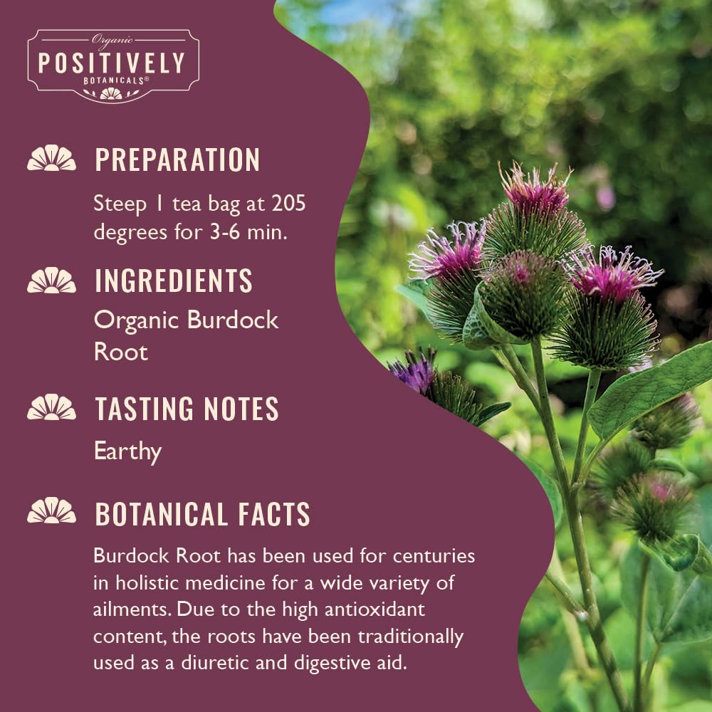 Organic Positively Botanicals Company, Anise Seed Herbal Tea Bags, 20 Count