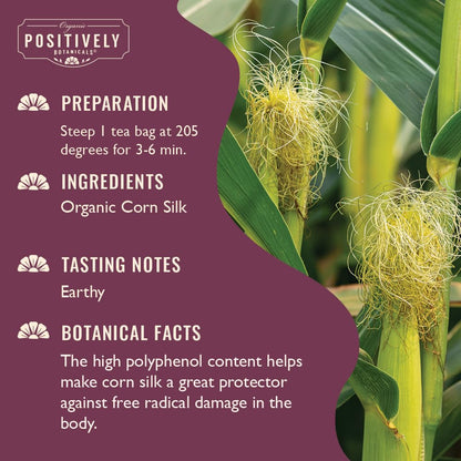 Organic Positively Botanicals Company, Anise Seed Herbal Tea Bags, 20 Count