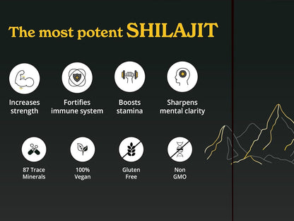 Better Alt Shilajit Resin