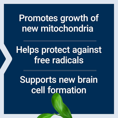 Life Extension Mitochondrial Basics with PQQ, L-Taurine, R-lipoic Acid, foundational Supplement for Cellular Energy Production, Brain and Heart Health, Gluten-Free, Non-GMO, Vegetarian, 30 Capsules