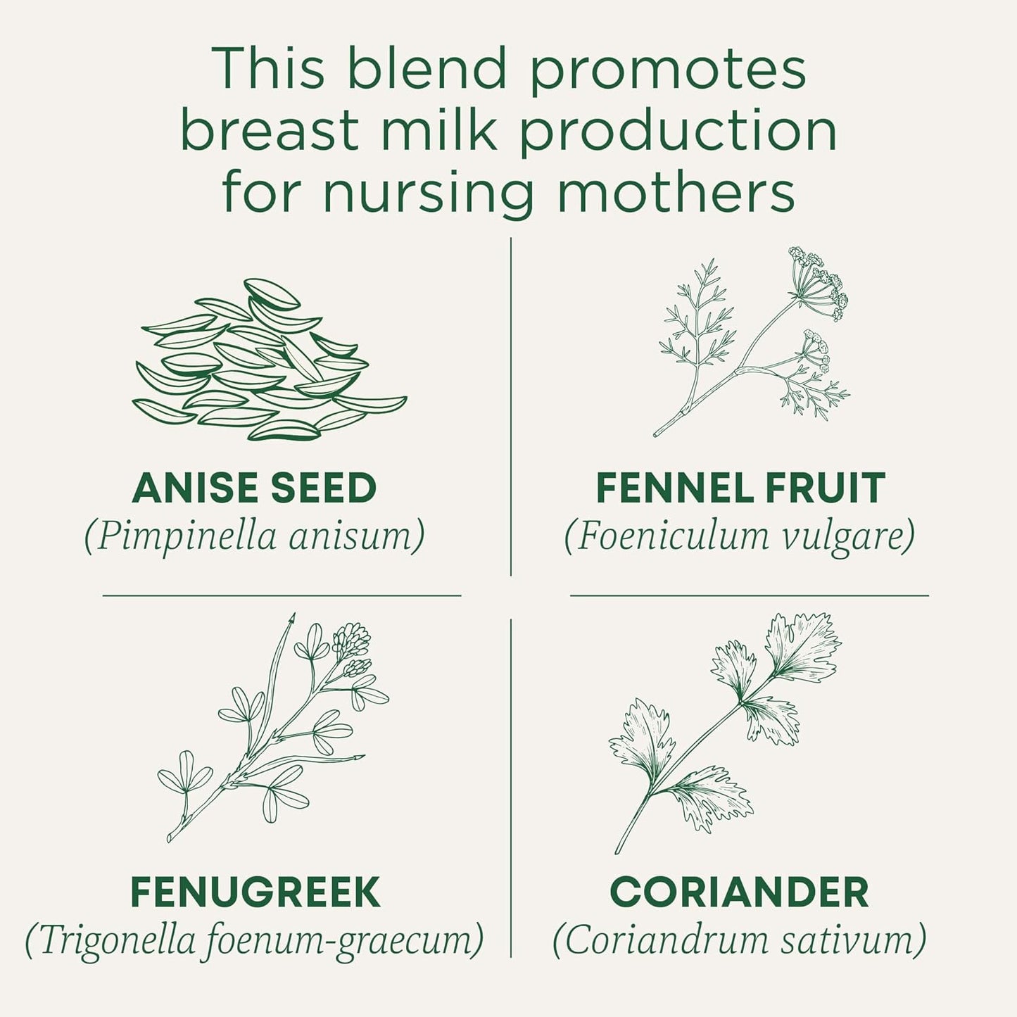 Traditional Medicinals Tea, Organic Healthy Cycle, Supports Healthy Menstrual Cycles, Includes Spearmint,16 Tea Bags