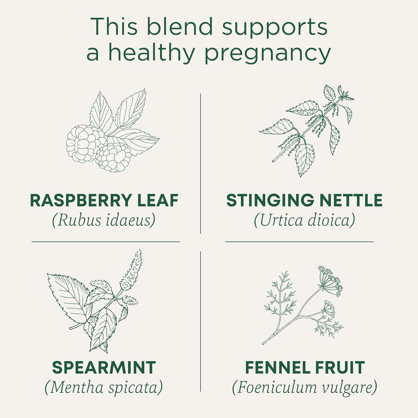 Traditional Medicinals Tea, Organic Healthy Cycle, Supports Healthy Menstrual Cycles, Includes Spearmint,16 Tea Bags