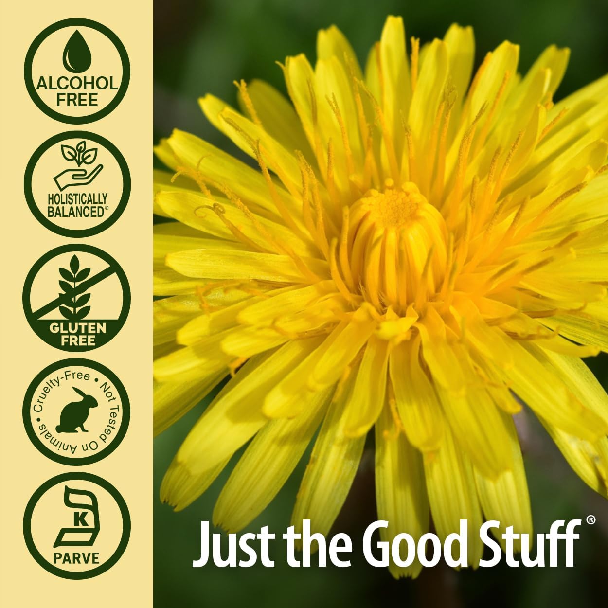 Nature's Answer Alcohol Free Dandelion Root 2000mg 1oz Extract | Promotes Overall Well-Being | Immune Support | Cleanses and Detoxes | Gluten-Free, Non-GMO, Vegan | Single Count