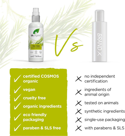 Dr Organic Tea Tree Foot Spray, Deodorising, Cleansing, Quick-Drying, Aluminium Free, with Natural Peppermint Oil, Vegan, Cruelty Free, Paraben & SLS Free, Certified Organic, 100 ml