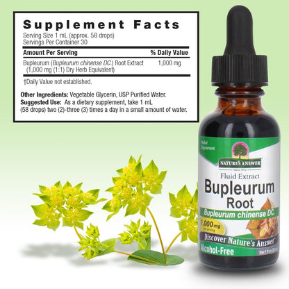 Nature’s Answer Bupleurum Root Bupleurum Chinense - Natural Herbal Supplement - Gluten Alcohol-Free - Ideal for Liver Immunity Overall Health Wellbeing - 1000mg (1 FL Oz) |