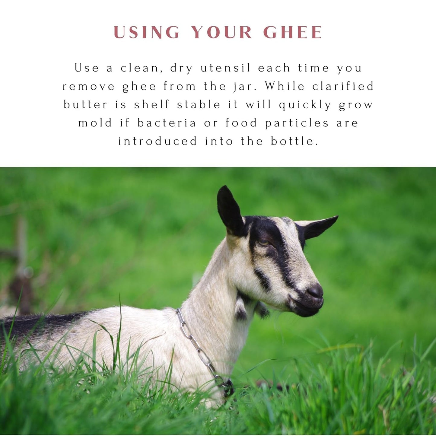 Mt. Capra Goat Milk Ghee | Grass-Fed Clarified Butter High in MCT Oil Perfect for Bulletproof Coffee, Keto, Paleo, and Whole 30 Diets | Pasture Raised and Unsalted | 59 Servings - 10 fl oz