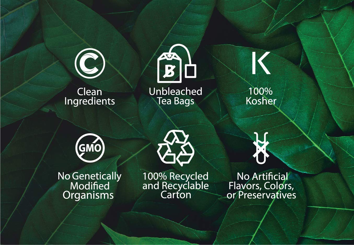 Buddha Teas - Chaga Tea - Organic Herbal Tea - For Cognitive Balance & Overall Health - With Chaga Mushroom, Antioxidants & B Vitamins - Caffeine Free - OU Kosher - 18 Tea Bags (Pack of 1)