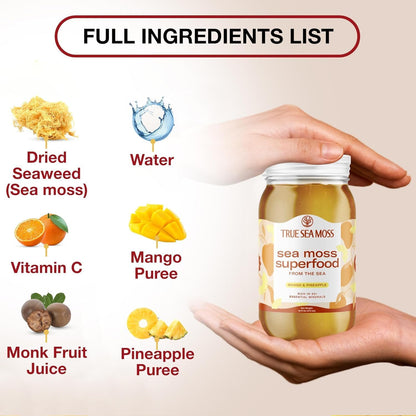 Wildcrafted Irish Sea Moss Gel - Seamoss, Gut Health & Antioxidant Supports - Made in USA (Mango/Pineapple, Pack of 1)