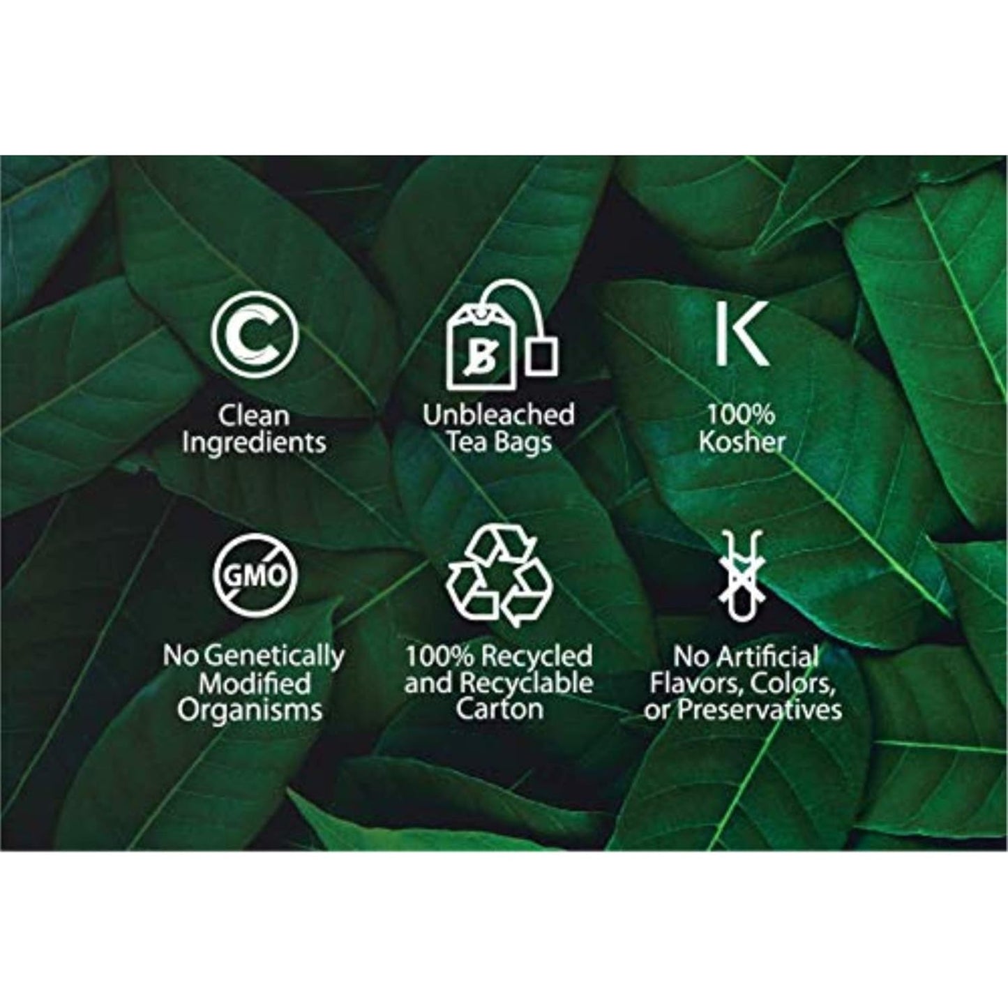 Buddha Teas - Chaga Tea - Organic Herbal Tea - For Cognitive Balance & Overall Health - With Chaga Mushroom, Antioxidants & B Vitamins - Caffeine Free - OU Kosher - 18 Tea Bags (Pack of 1)