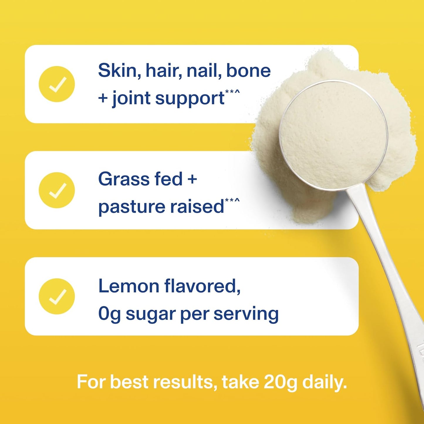 Vital Proteins Collagen Peptides Powder - Grass Fed Collagen Peptides for Hair, Nail, Skin, Bone & Joint Health, Vanilla, 23.2 Ounces